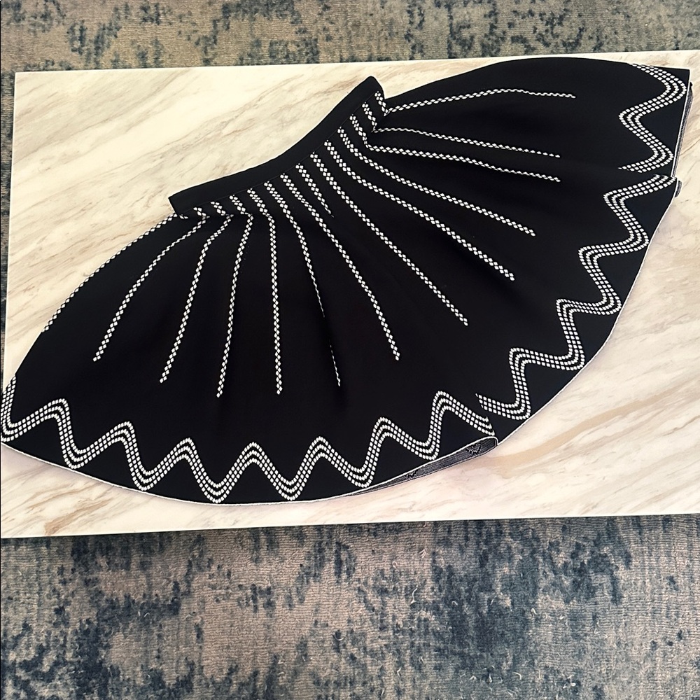 Alaia Glacier Black and White Skater Skirt - Picture 5 of 6